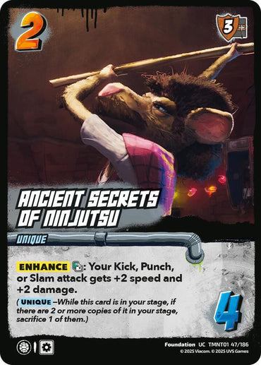 Ancient Secrets of Ninjutsu - Teenage Mutant Ninja Turtles (TMNT)