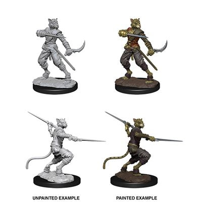 D&D Nolzur's Marvelous Unpainted Miniatures: Wave 7: Male Tabaxi Rogue