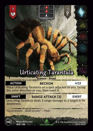 Urticating Tarantula - JAE